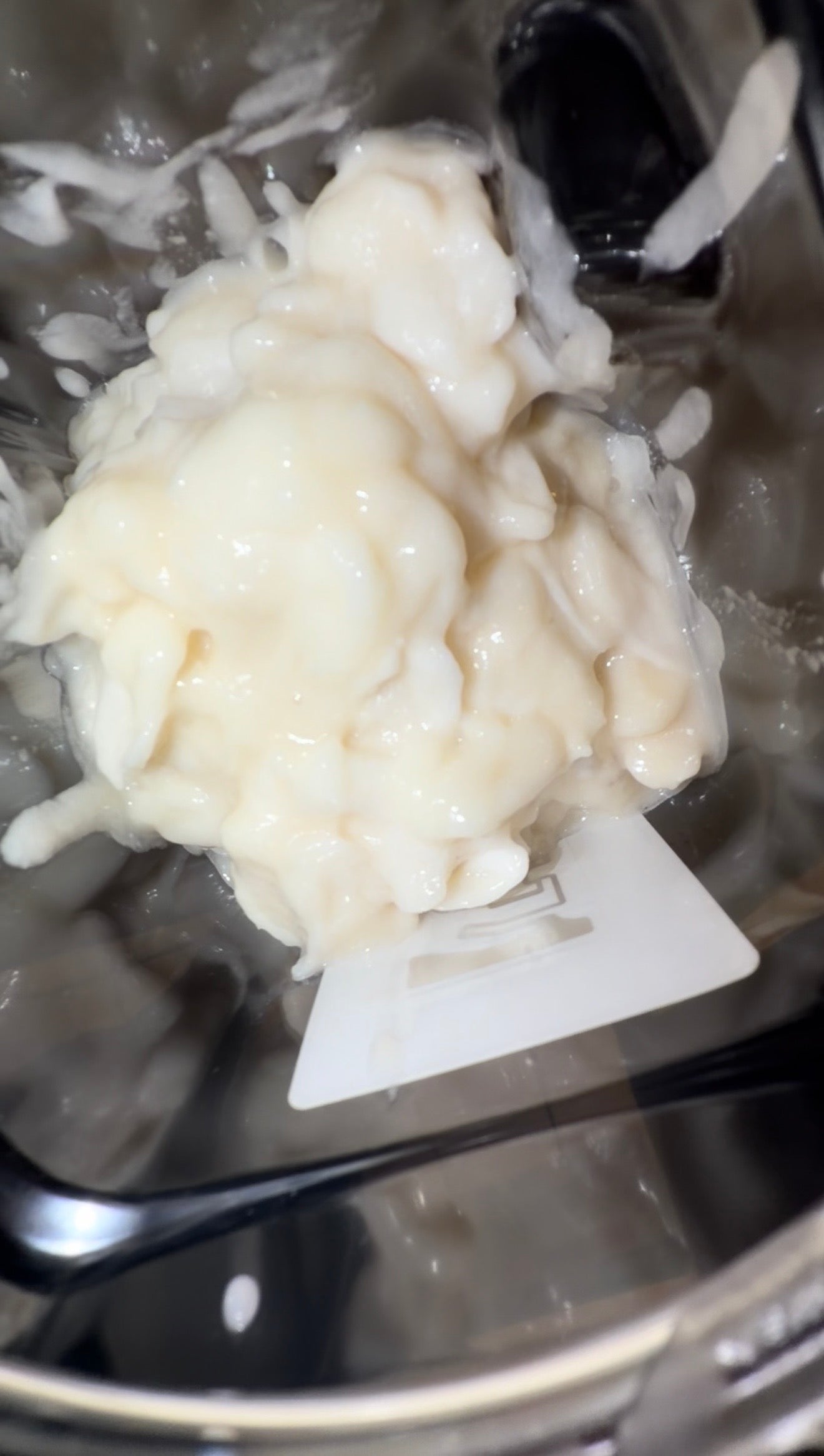 16 Lbs Pure Organic Soursop Segments Crafted for Pristine Quality + Fertile Seeds