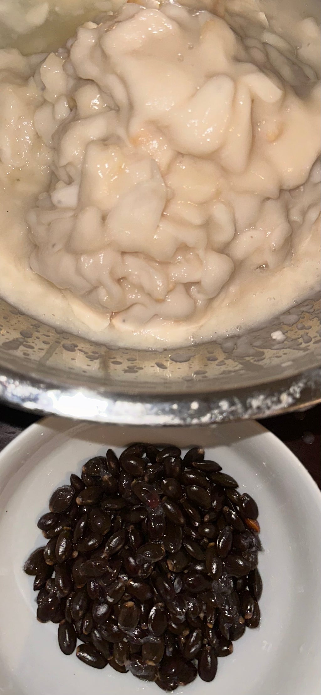 Ultra Premium Fertility Organic Soursop Seeds Pack (1000) Harvested Fresh for Maximum Viability