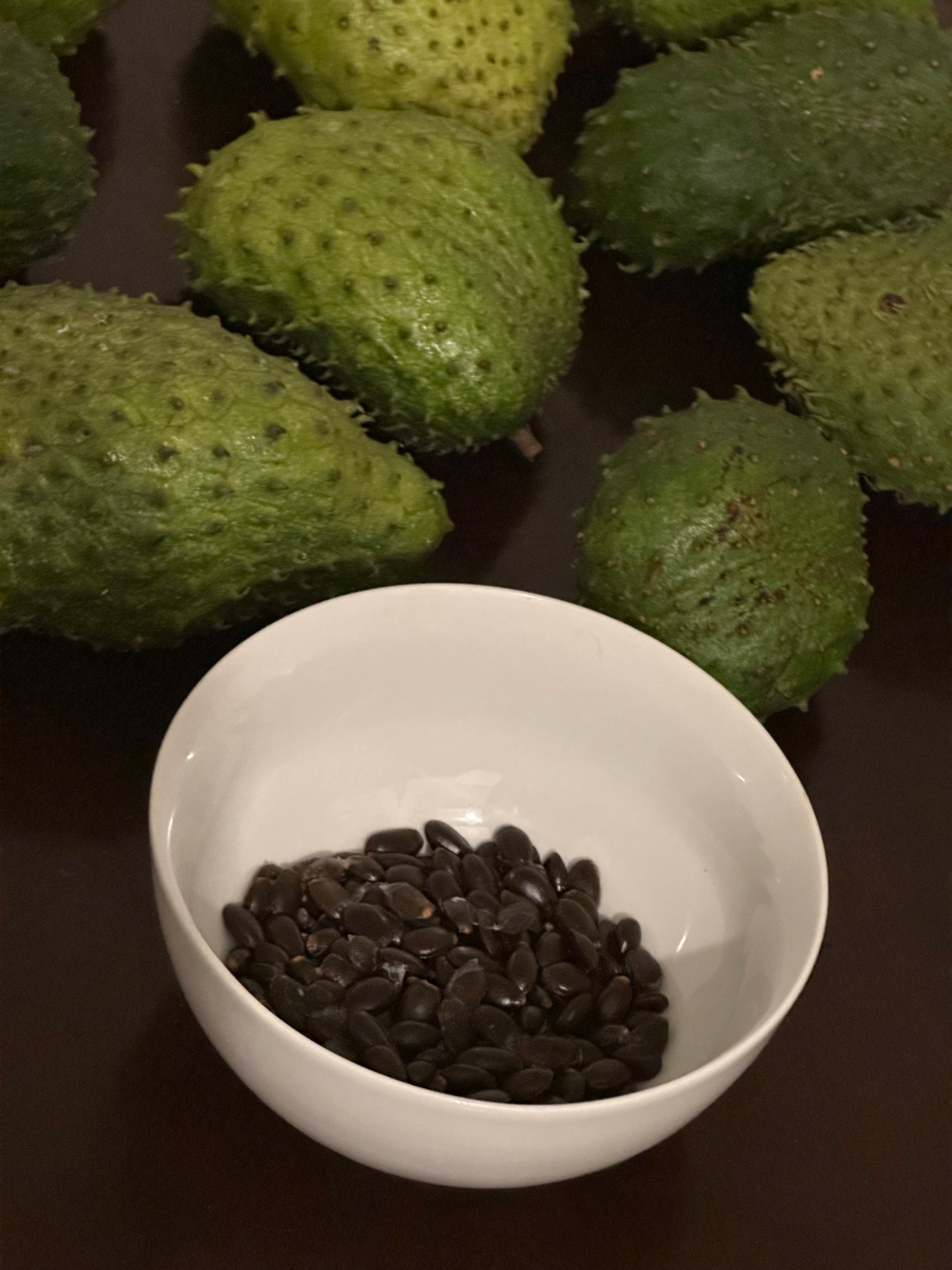 8 Lbs Pure Organic Soursop Segments Crafted for Pristine Quality + Fertile Seeds