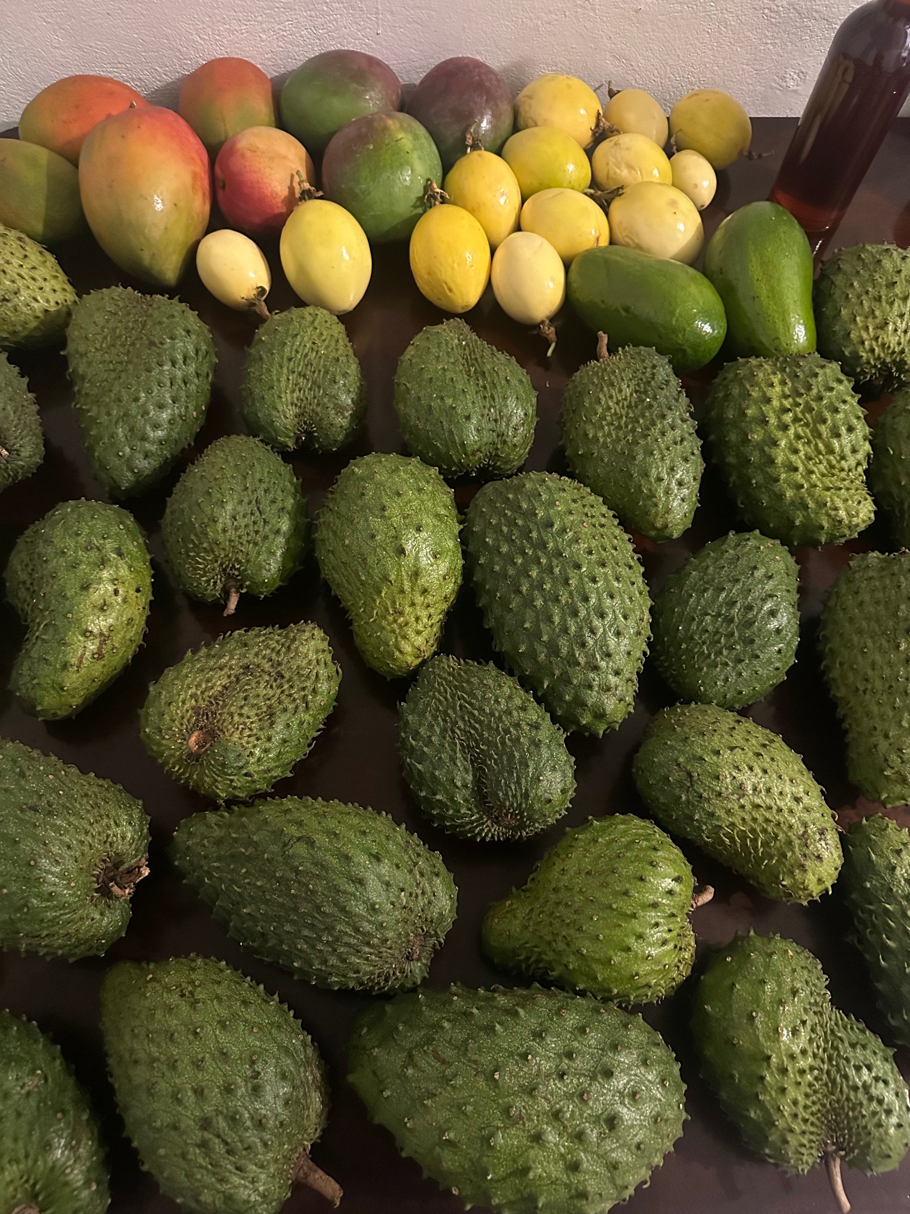 16 Lbs Pure Organic Soursop Segments Crafted for Pristine Quality + Fertile Seeds