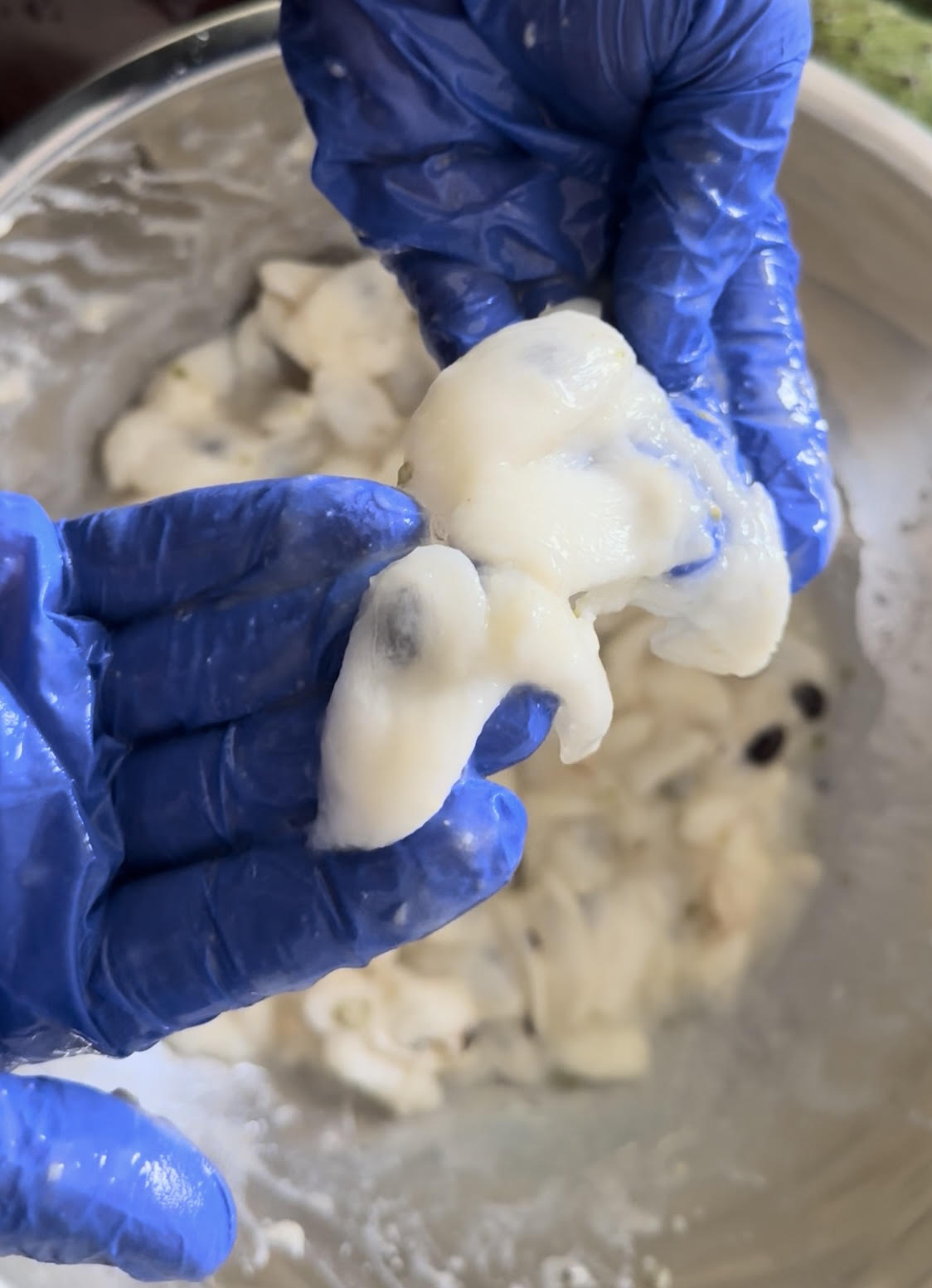 2 Lbs Pure Organic Soursop Segments Crafted for Pristine Quality + Fertile Seeds